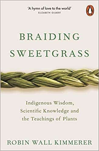 braiding sweetgrass barnes and noble