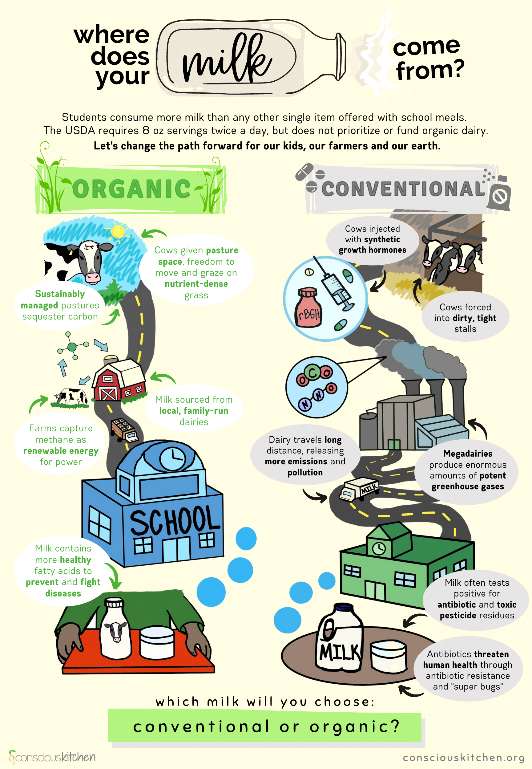 Organic Milk Vs Conventional The Real Difference Turning Green