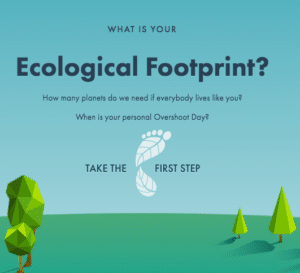 A screenshot from the Global Footprint Network's Footprint Calculator that reads "What is your Ecological Footprint? How many planets do we need if everybody lives like you? When is your personal overshoot day? Take the first step!