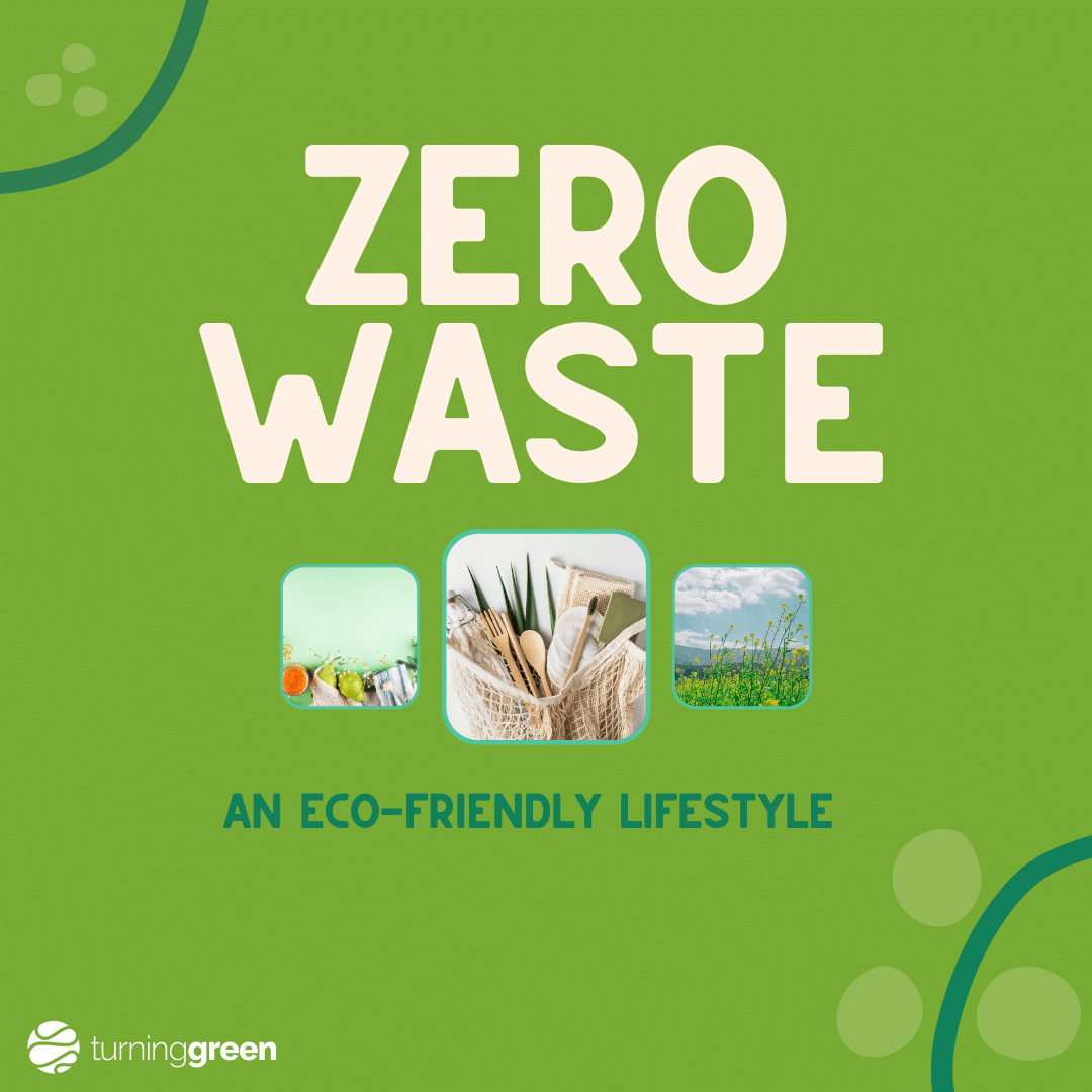 A Guide to Going ZeroWaste in Plastic Free July Turning Green
